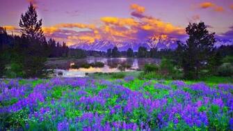 Blessed Nature Wallpaper