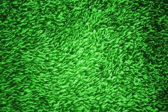 Green Shag Carpeting Texture Picture Photograph Photos Public