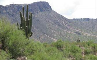 Arizona Wallpaper Widescreen