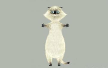 Cat Background Wallpaper Win10 Themes