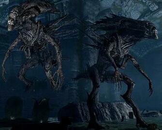 Xenomorph Queen Wallpaper Media With