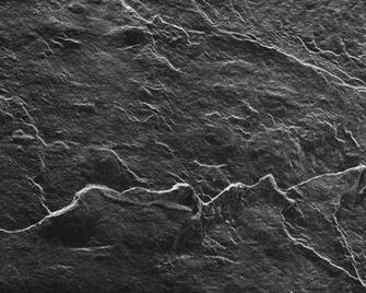 Stoneplex Slate Wallpaper