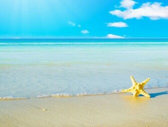 Star Fish Sea Beach Sand Wallpaper All