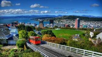 New Zealand Houses Wellington From Above 4k HD Desktop