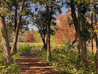 Fall Color October November The Morton
