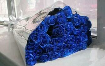 High Quality And Resolution Wallpaper On WallbaseHD