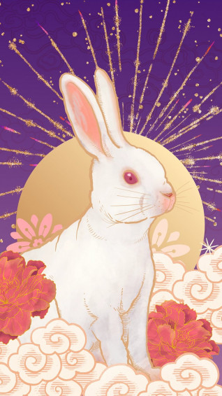 Cute Aesthetic Bunny Image Wallpaper