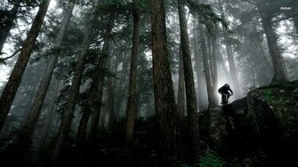 Mountain Bike Wallpaper Sport
