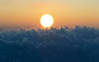 Snowflakes In Sunlight Wallpaper Snowflake Details Sun Rising