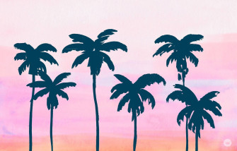 Summer Laptop Background S For Your