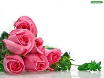 Wedding Flowers Red Rose Amp White Wallpaper For