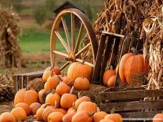 Pumpkin Display Wallpaper Horse Wagon With Pumpkins And Hay