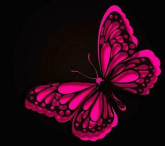 Butterfly Wallpaper HD Applications Android Et Tests Androidpit