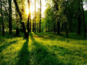 Wallpaper Full Screen Desktop Background