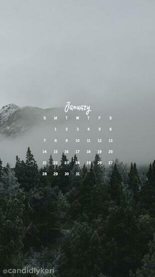 January iPhone Wallpaper The Dress Decoded