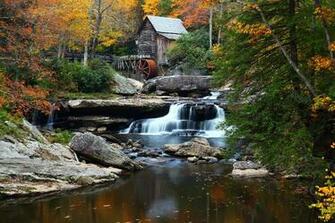 Fall Foliage Wallpaper HD Net