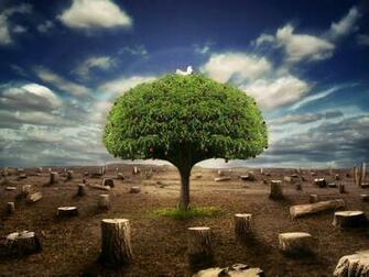 Full Wallpaper Nature