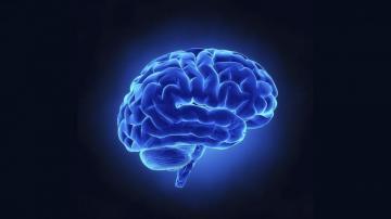 Abstract Psychology Wallpaper Top