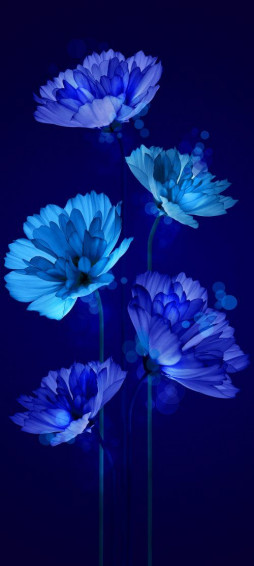 Wallpaper That Will Look Perfect On Your Xiaomi Redmi Note