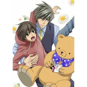 Junjo Romantica Blu Ray Box