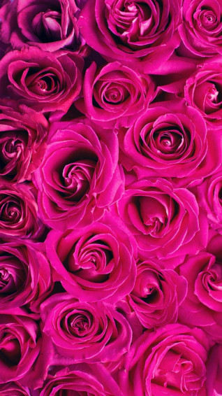 Aesthetic Pink iPhone Wallpaper