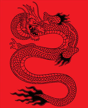 Japanese Dragon Tattoo Wallpaper