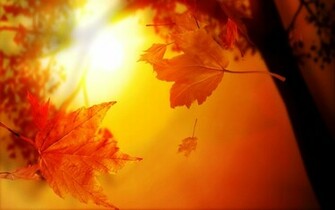 Art Nouveau Desktop Wallpaper Autumn