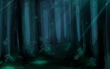 Anime Dark Forest Wallpaper On