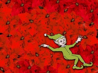 Poinsettia Bed Christmas Cards Wallpaper Image