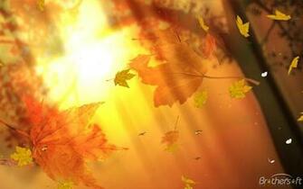 Fantastic Nature Screensaver