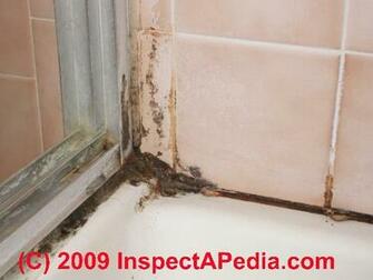 Mold On Vinyl Windows In Wall Cavities Wallpaper