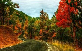 Landscapes Fall Wallpaper Roads Colorful