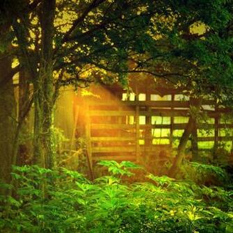 Amazing Scenery Wallpaper