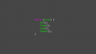 Smiling Programmer Code Fun Activities On The Computer