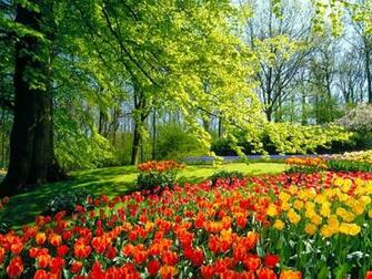 Nature HD Wallpaper Amazing Desktop Very Beautiful