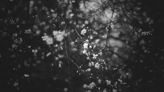 Aesthetic Black Wallpaper