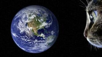 Space Cats Earth Wallpaper Hq