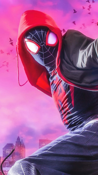 Spider Verse Spiderman Pfp L7jlmt62znnu5dgx Wallpaper