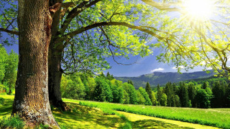 HD Summer Desktop Background Wallpaper