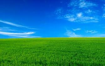Blissful Day Desktop Pc And Mac Wallpaper