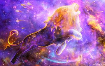 Lion Spirit Wallpaper Top Background