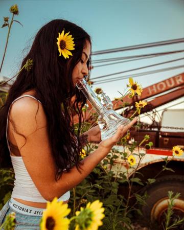 Bong Pictures HD Image