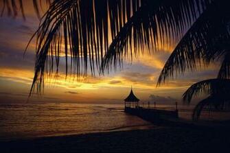 Neurochangers Blessed In Jamaica