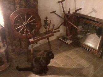 Primitive Living Room With Cat Stock Photo Public Domain