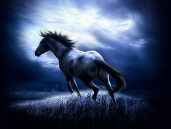 Paint Horses Wallpaper HD