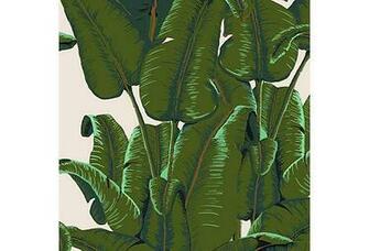 Related Pictures Banana Leaf Wallpaper Car