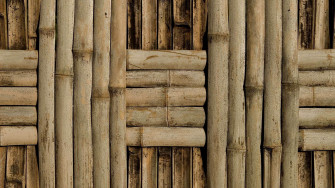 Bamboo HD Wallpaper