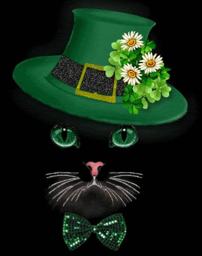 Catirishglitter Gif