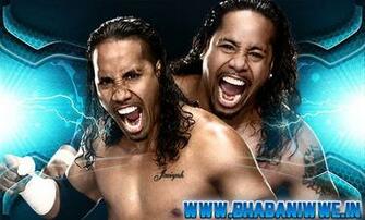 Luke Harper And Erick Rowan Vs The Usos Wwe Tag Team Championship