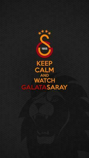 Footballers Galatasaray S K Soccer Wallpaper HD Desktop And